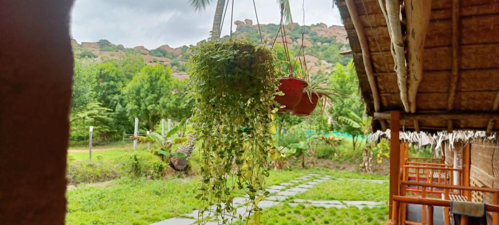 ホテル Hampi Wildstone エクステリア 写真
