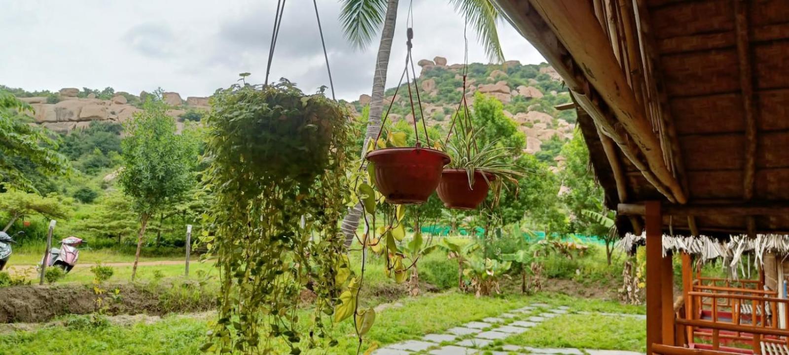 ホテル Hampi Wildstone エクステリア 写真